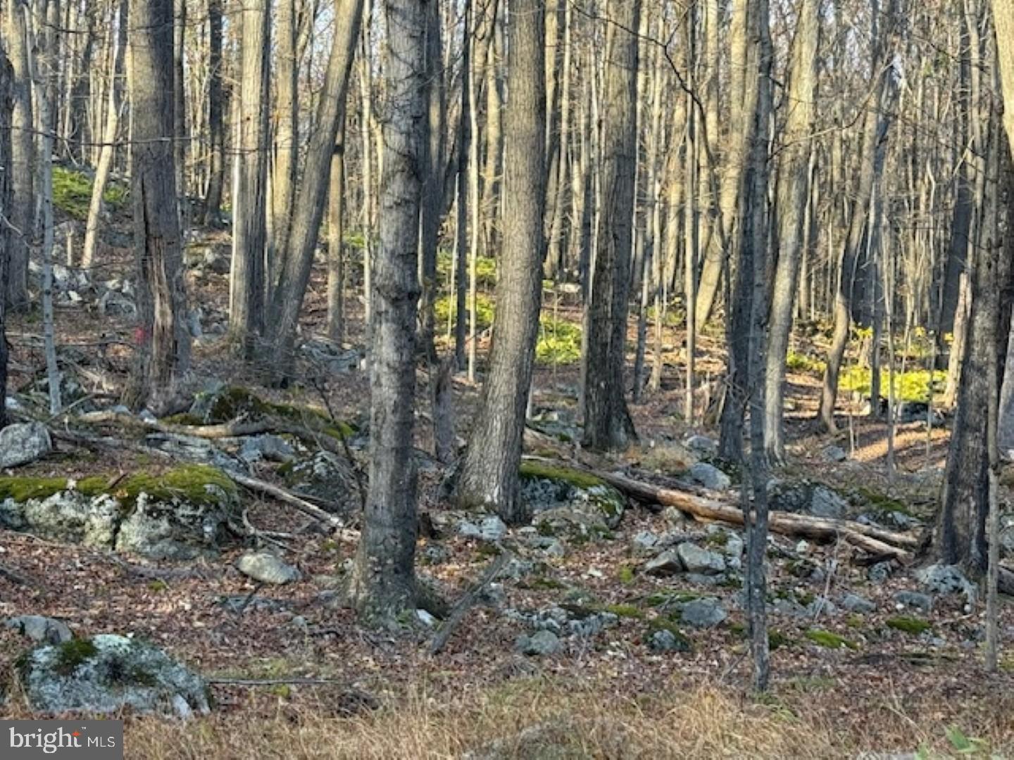 RETREAT AT DOLLY SODS - Land