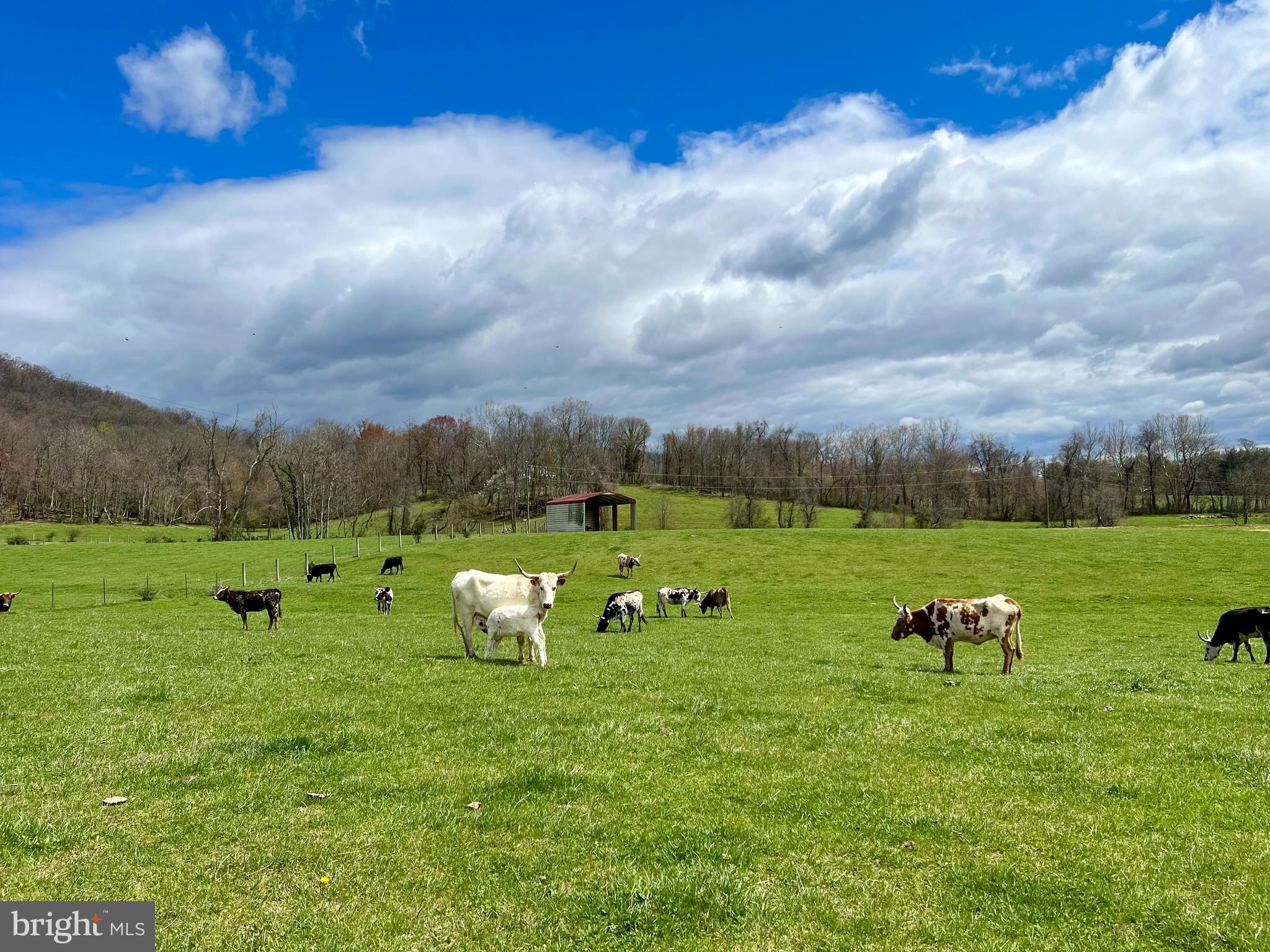 1901 MISTY MEADOWS LANE