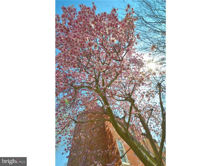 SOCIETY HILL - Residential