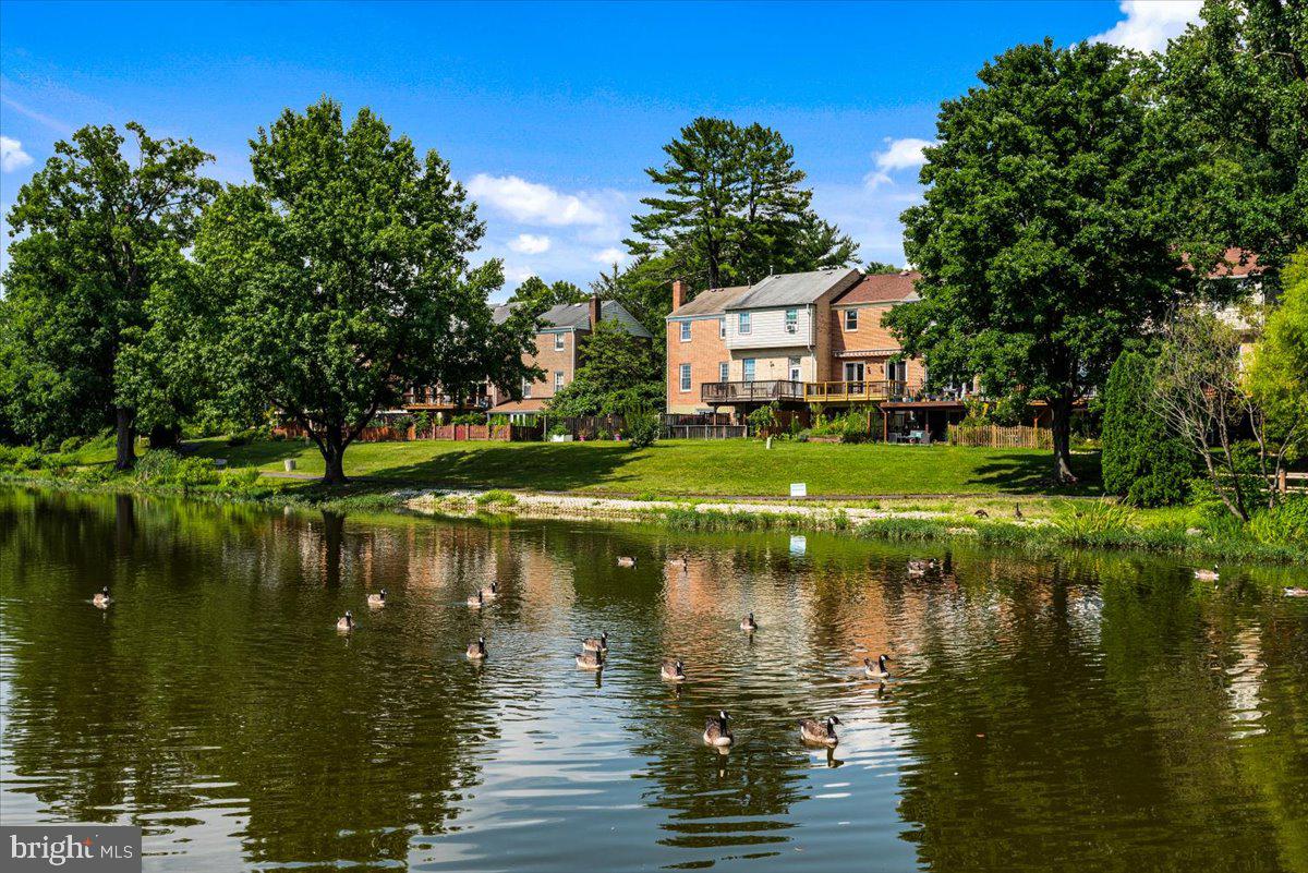 LAKE BRADDOCK - Residential