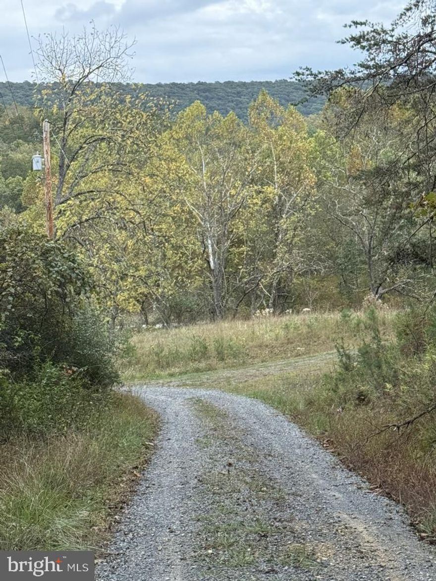 Discover the perfect opportunity to build your dream home or a charming second residence on this expansive 31.11-acre property. This unique offering features two distinct lots—one beautifully wooded and the other thoughtfully cleared—providing an ideal backdrop for your future home. With ample space for animals, this land awaits your vision and creativity, Both lots have been separately perced and surveyed
Purchase both lots together or purchase just one ( lot 4 13.25 and lot 5 17.64)