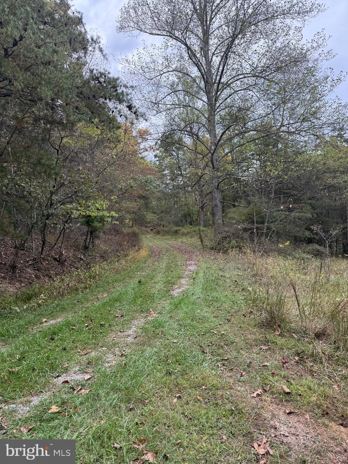 LOT 4 AND 5 POSEY HOLLOW