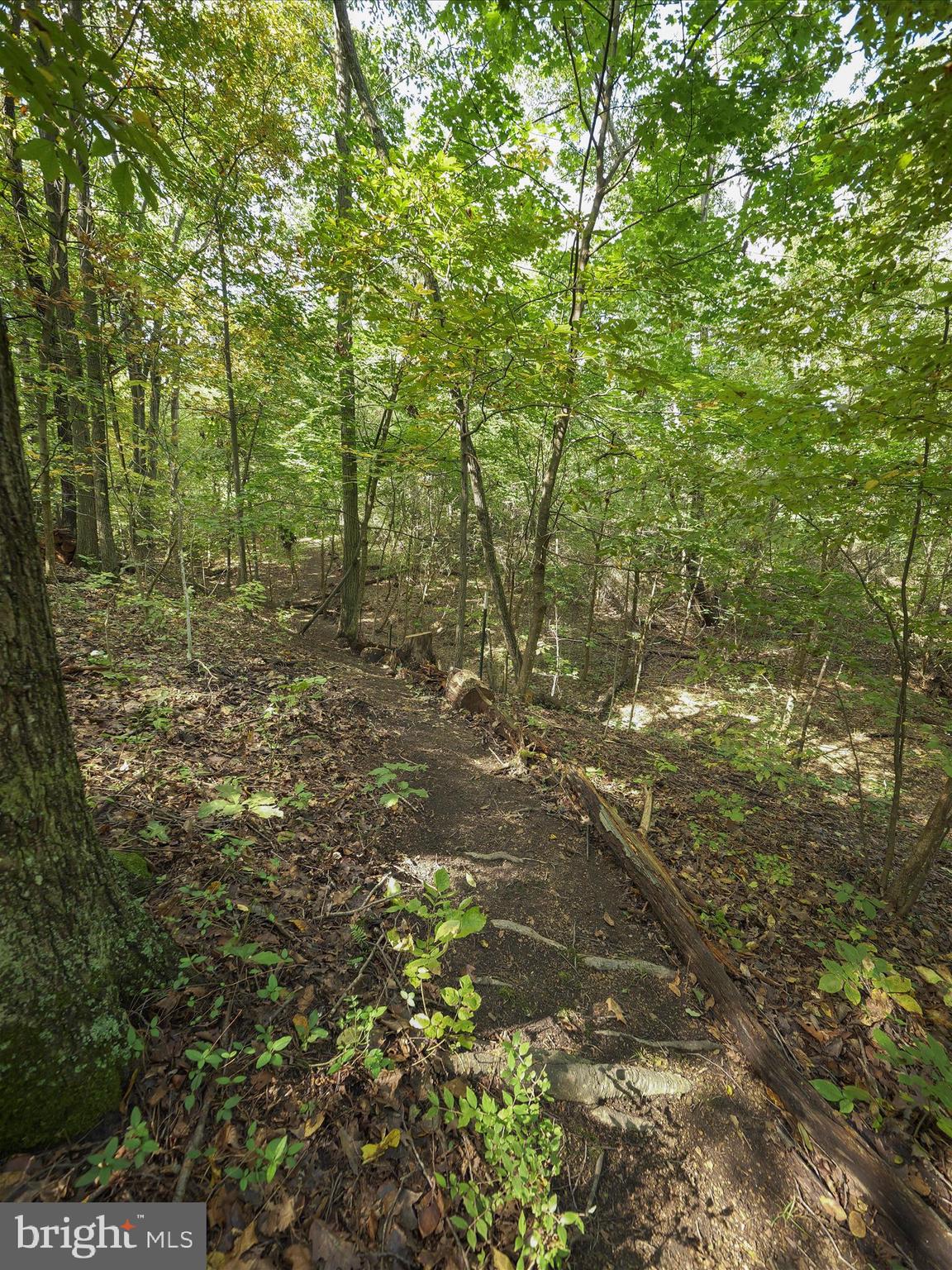 WEIGHSIDE - Residential