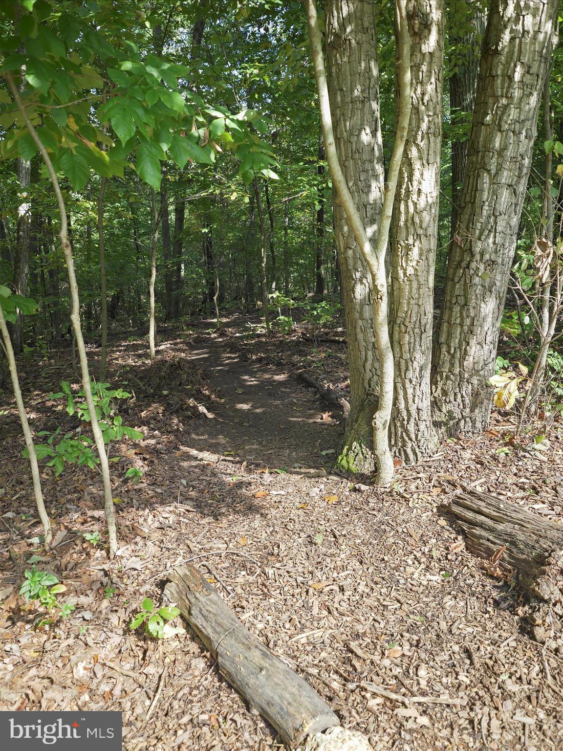 WEIGHSIDE - Residential