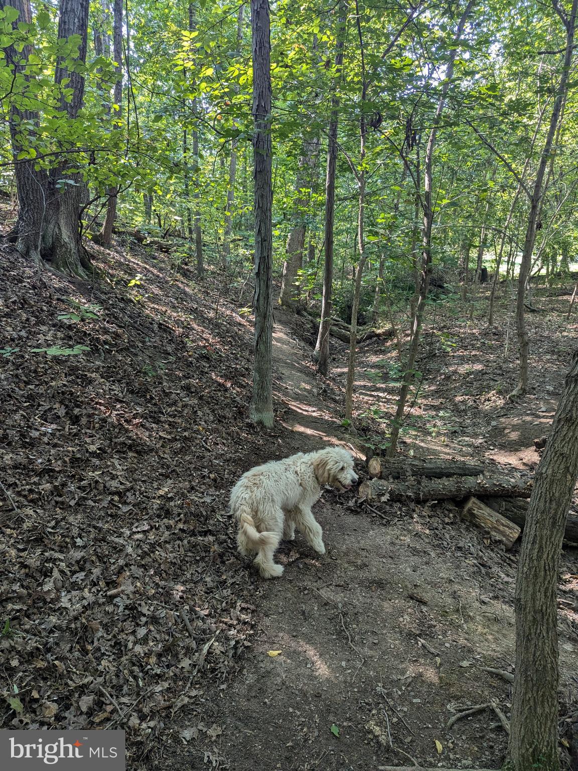 WEIGHSIDE - Residential