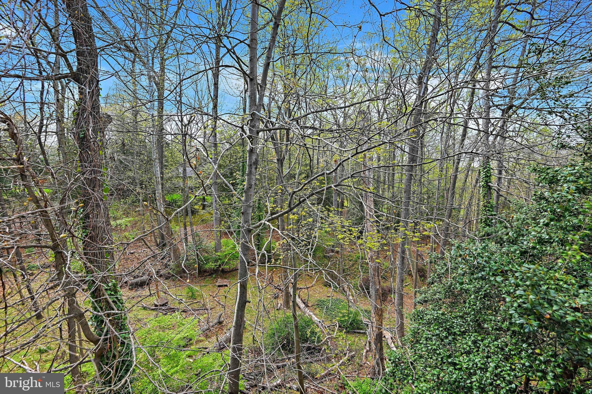 WAYSIDE - Residential