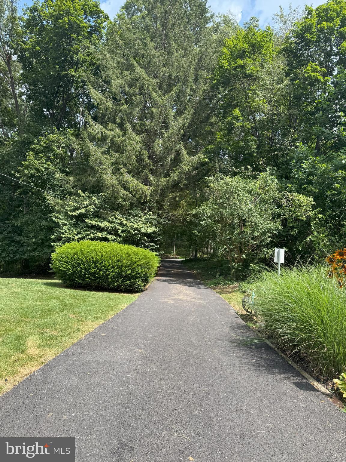 2317 BULLS SAWMILL ROAD