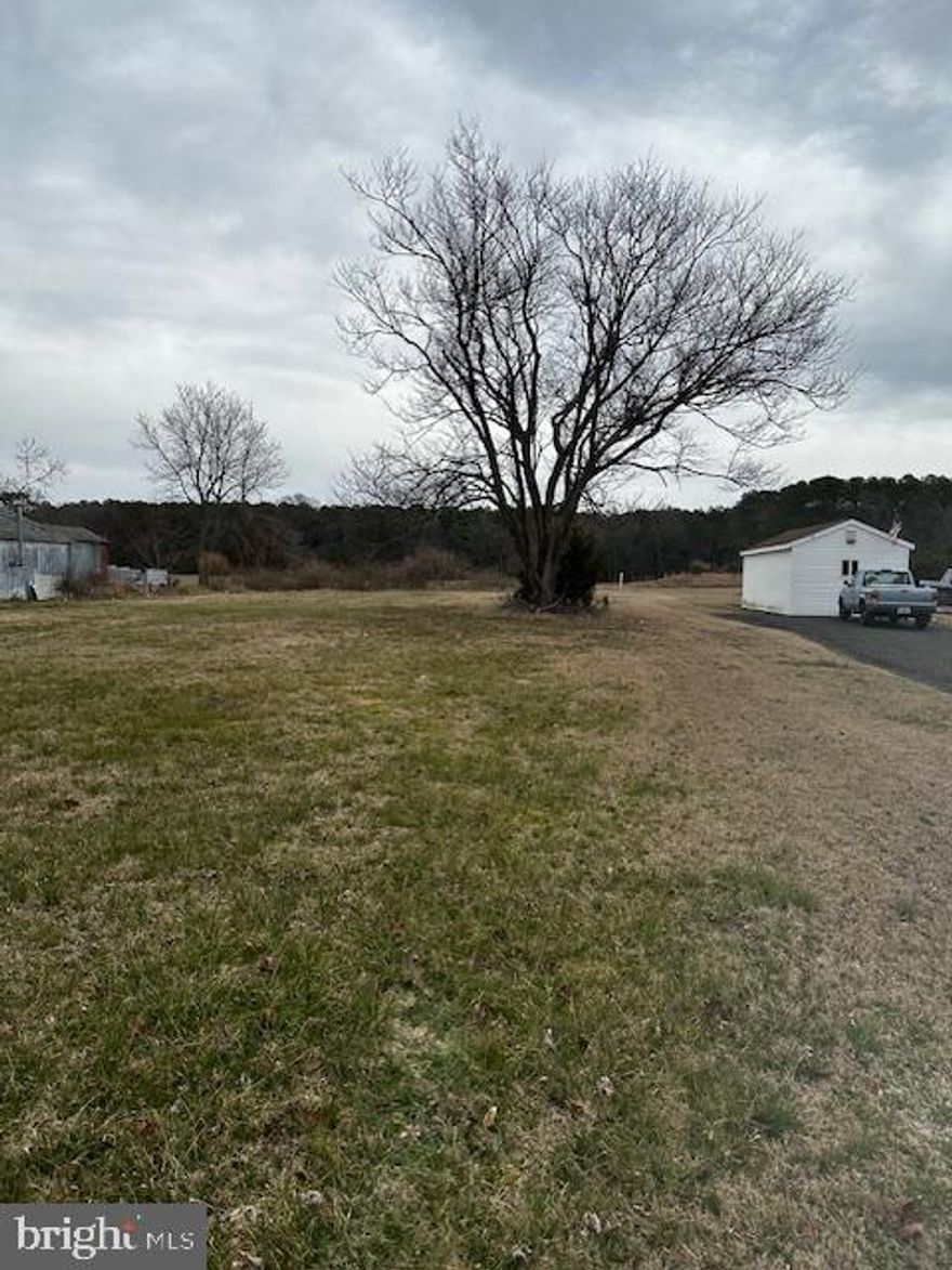 Need a place for your camper during hunting season?  Look no further, this lot is centrally located and open.  IA septic can not be put on this lot but electric and well can be.  Wicomico County allows for hunting campers on a lot for 6 months out of the year.  The Sika deer in this area are plentiful!  How about some duck hunting?  
Want to do some fishing - go to the Bivalve Wharf for Perch, catfish, large mouth bass and rockfish.
Cedar Hill Park is just down the road with a marina and boat ramp with a pump out station.