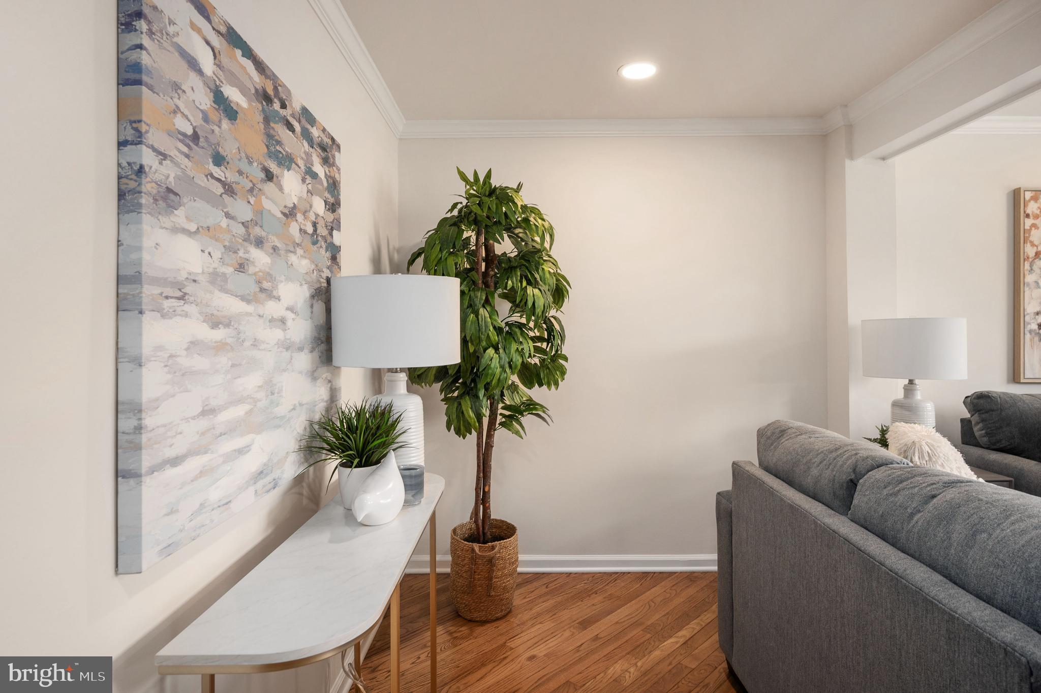 OLD BRIDGE ESTATES - Residential