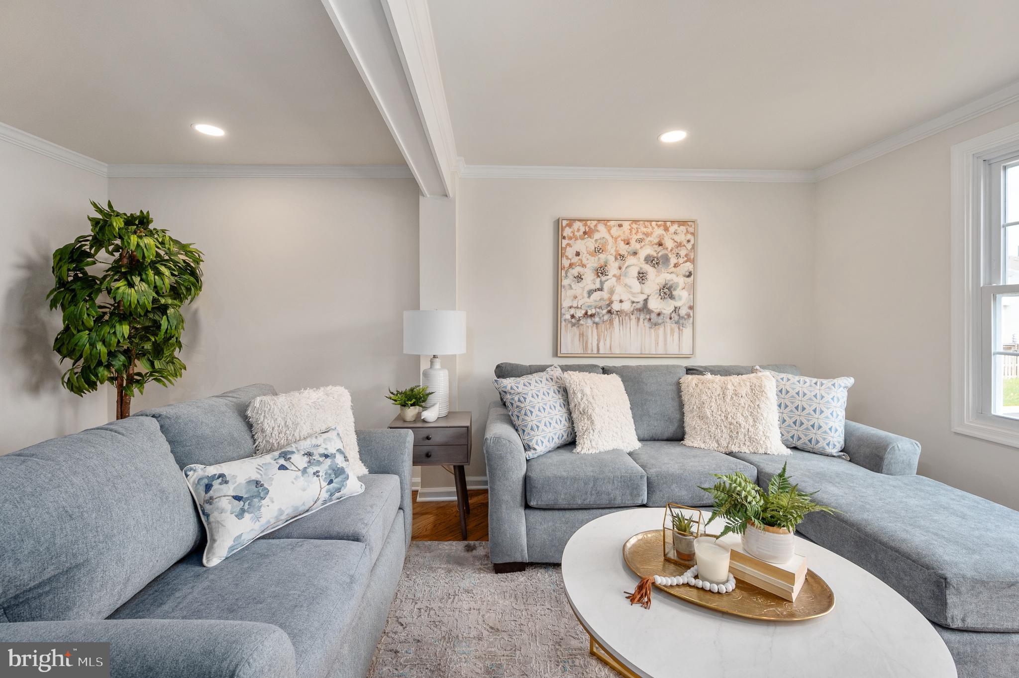 OLD BRIDGE ESTATES - Residential