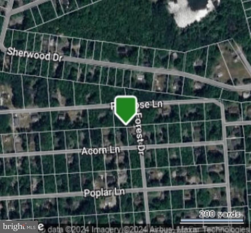 Check out this quaint lot located in Kunkletown! This lot is situated in the community of El Do Lake and is nearby to all of the main attractions. The community has a lake, swimming pool, year-round community events, and much more to explore. The location itself is not too far from Hickory Run State Park, Lake Harmony, and Jim Thorpe which are local and tourist hot spots all year round. With this lot having much to offer, don’t miss out on the opportunity today to build or simply just own a piece of land. Schedule your showing today!