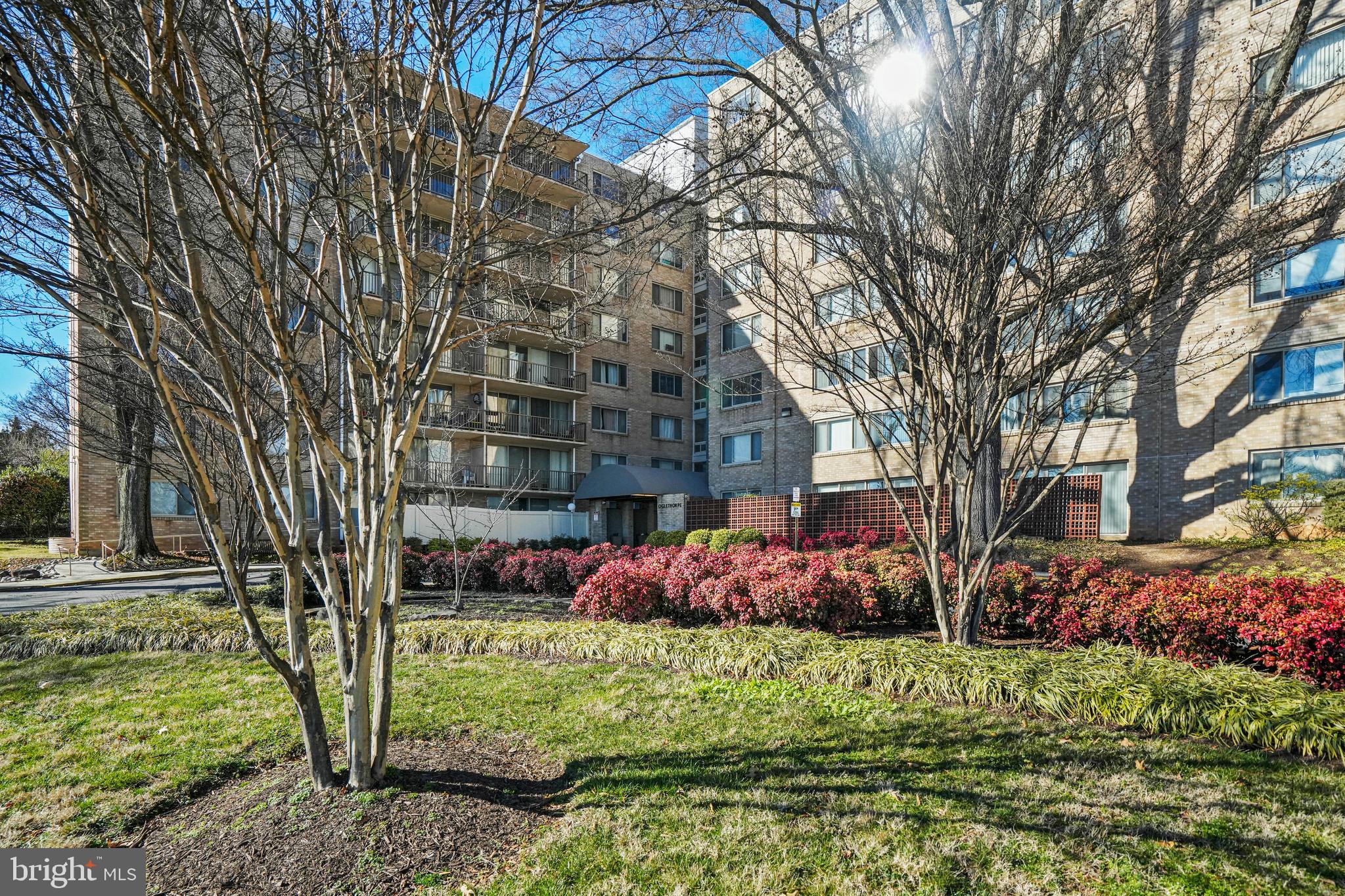 THE OGLETHORPE - Residential