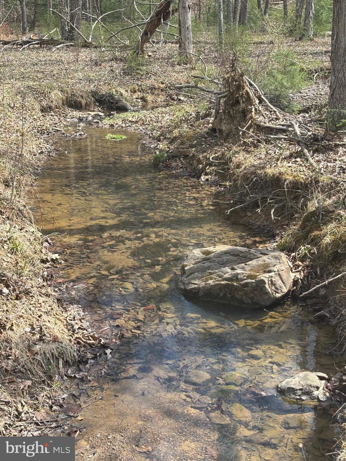 DILLONS RUN ESTATES - Land