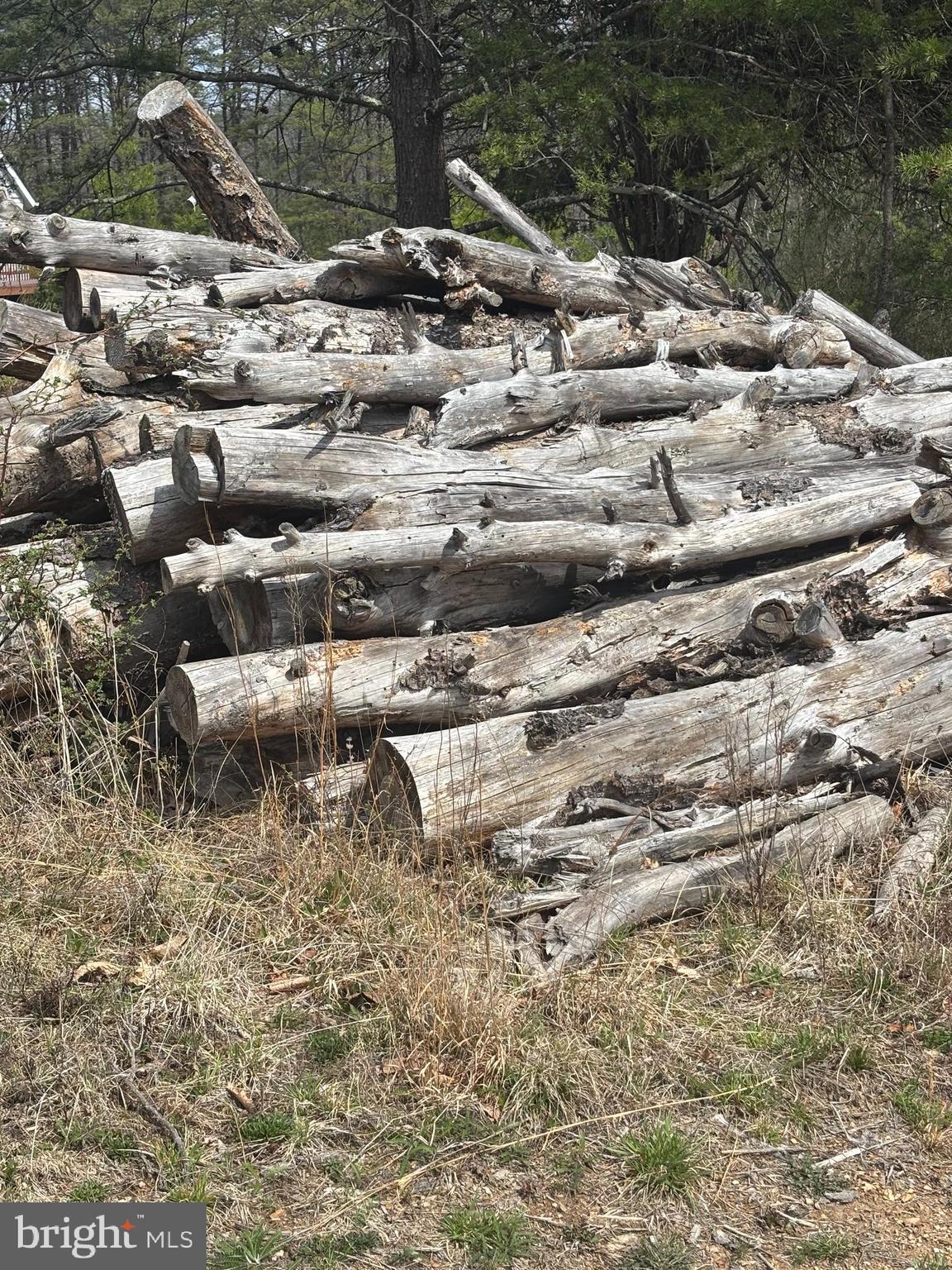 DILLONS RUN ESTATES - Land