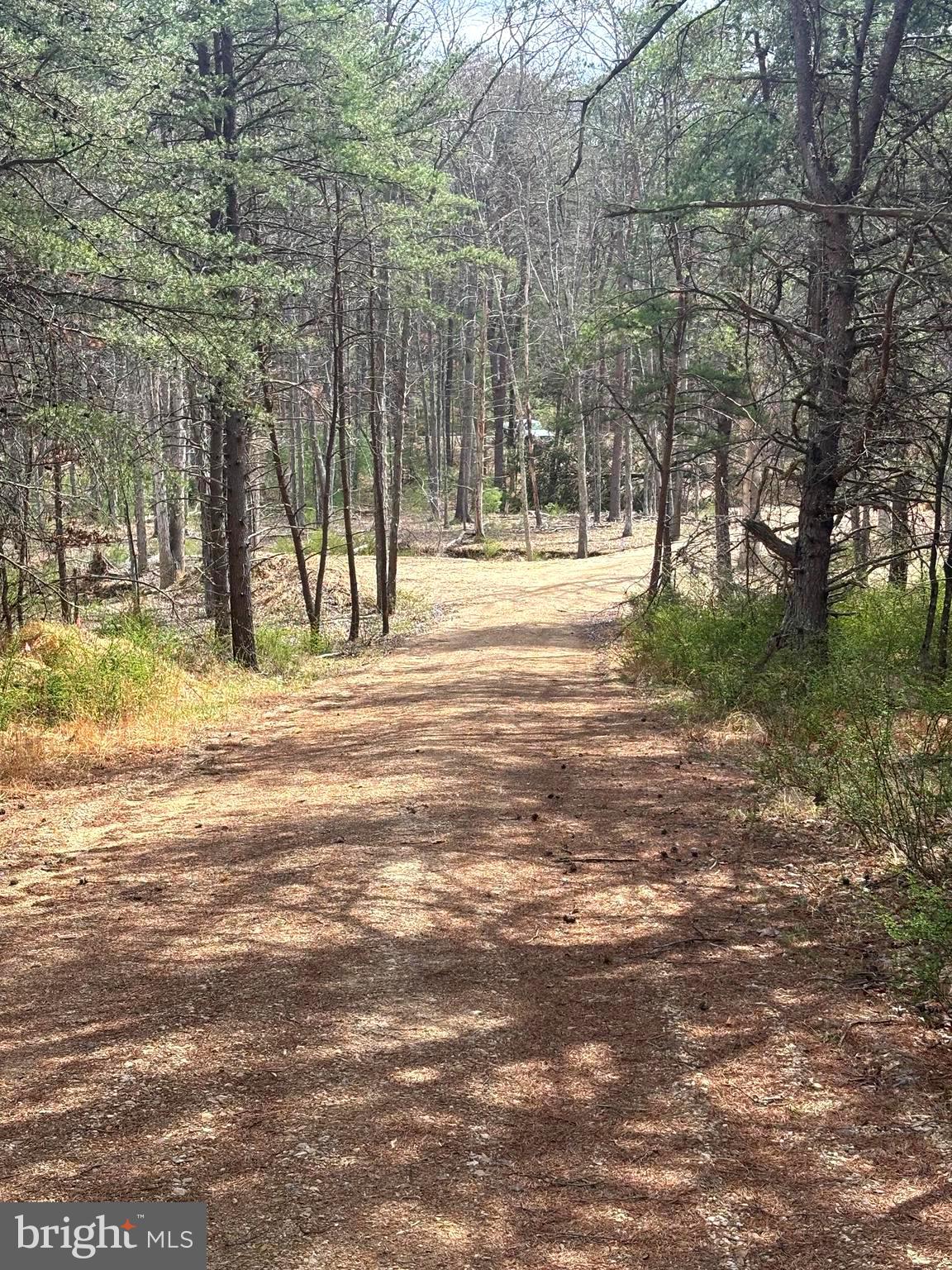 DILLONS RUN ESTATES - Land