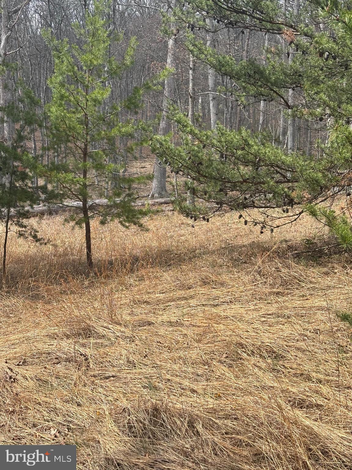 DILLONS RUN ESTATES - Land