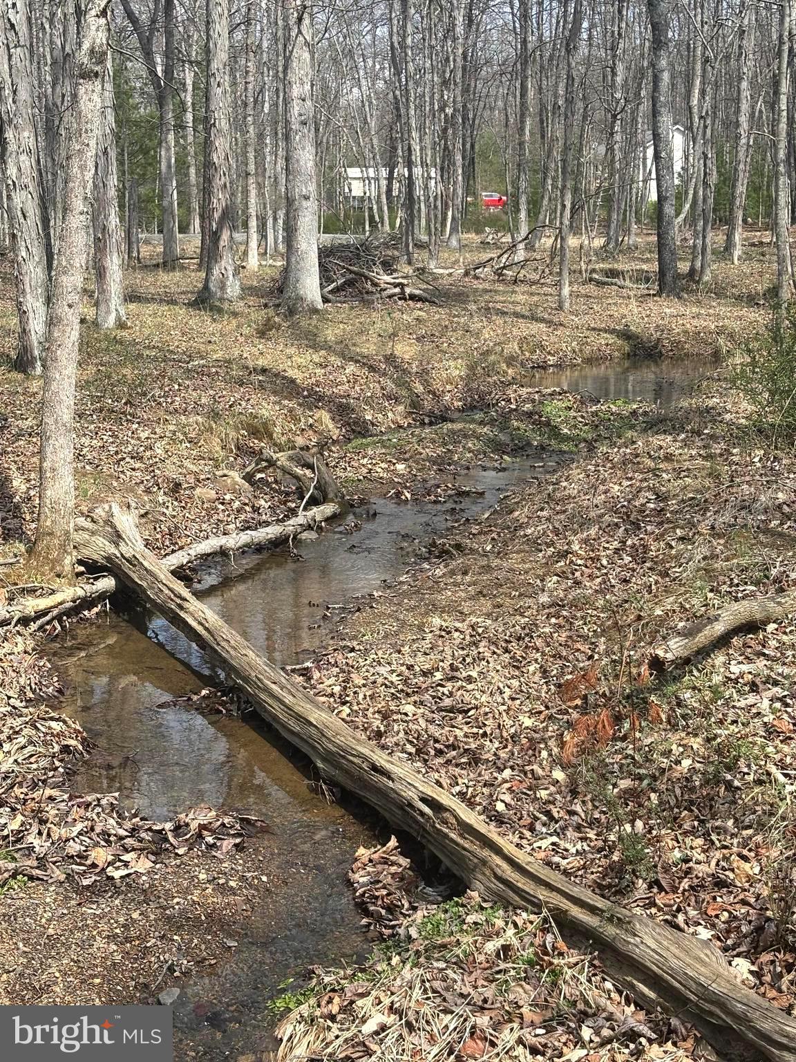 DILLONS RUN ESTATES - Land