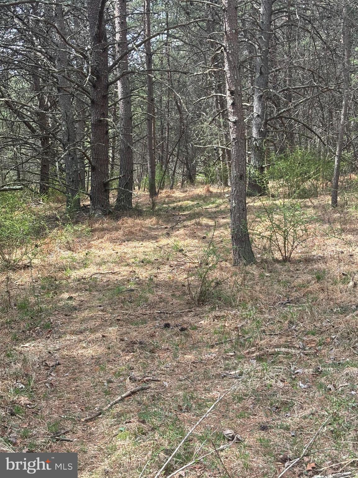 DILLONS RUN ESTATES - Land