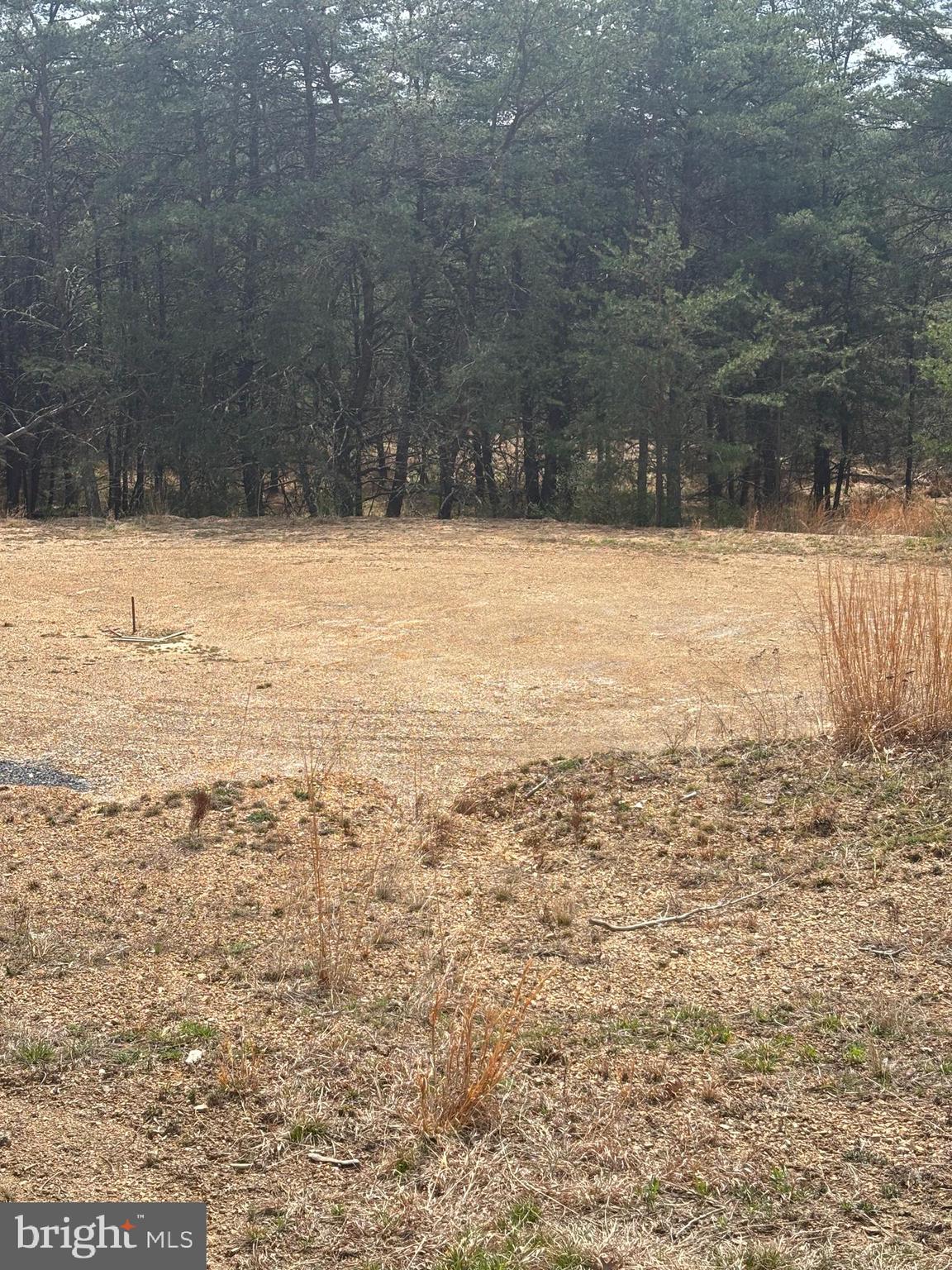 DILLONS RUN ESTATES - Land