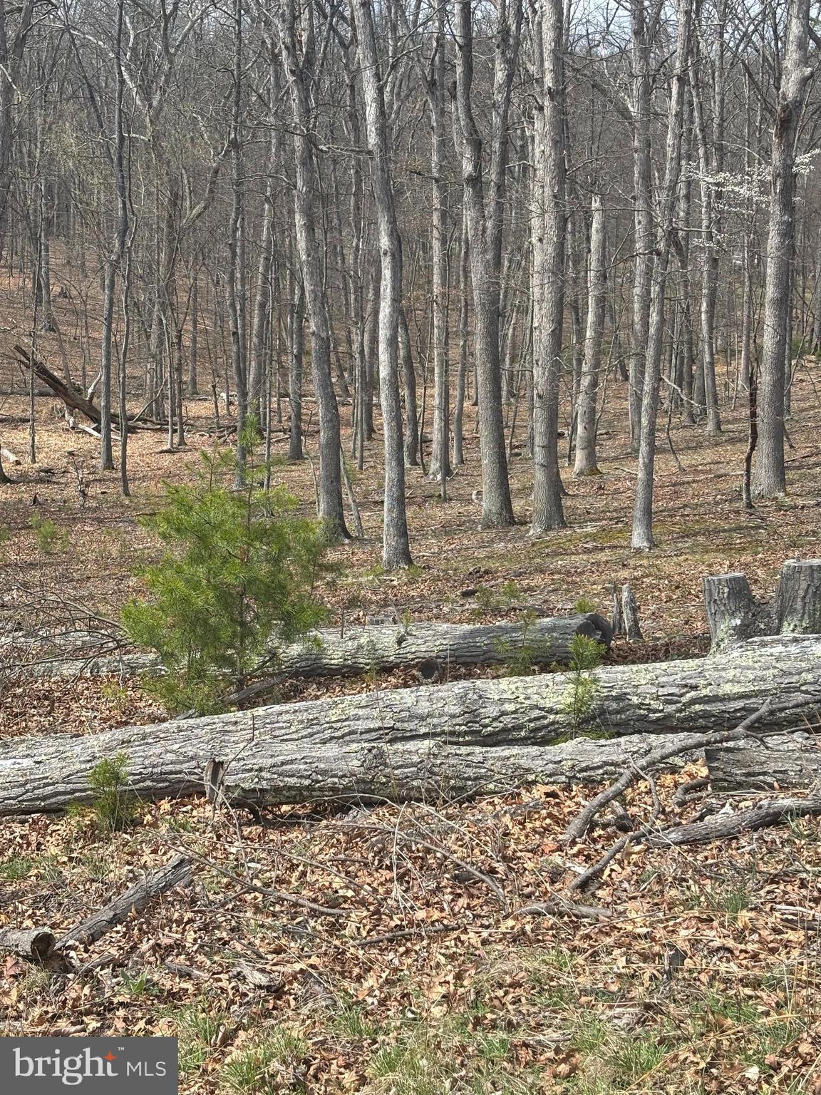 DILLONS RUN ESTATES - Land