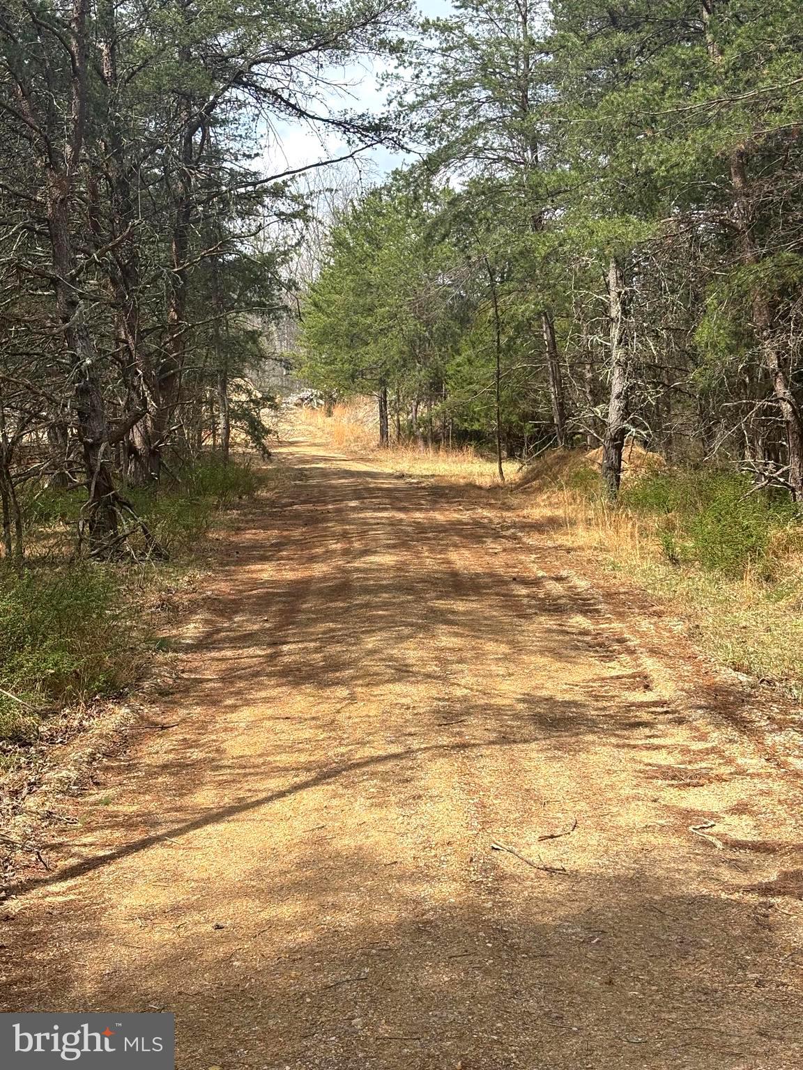 DILLONS RUN ESTATES - Land