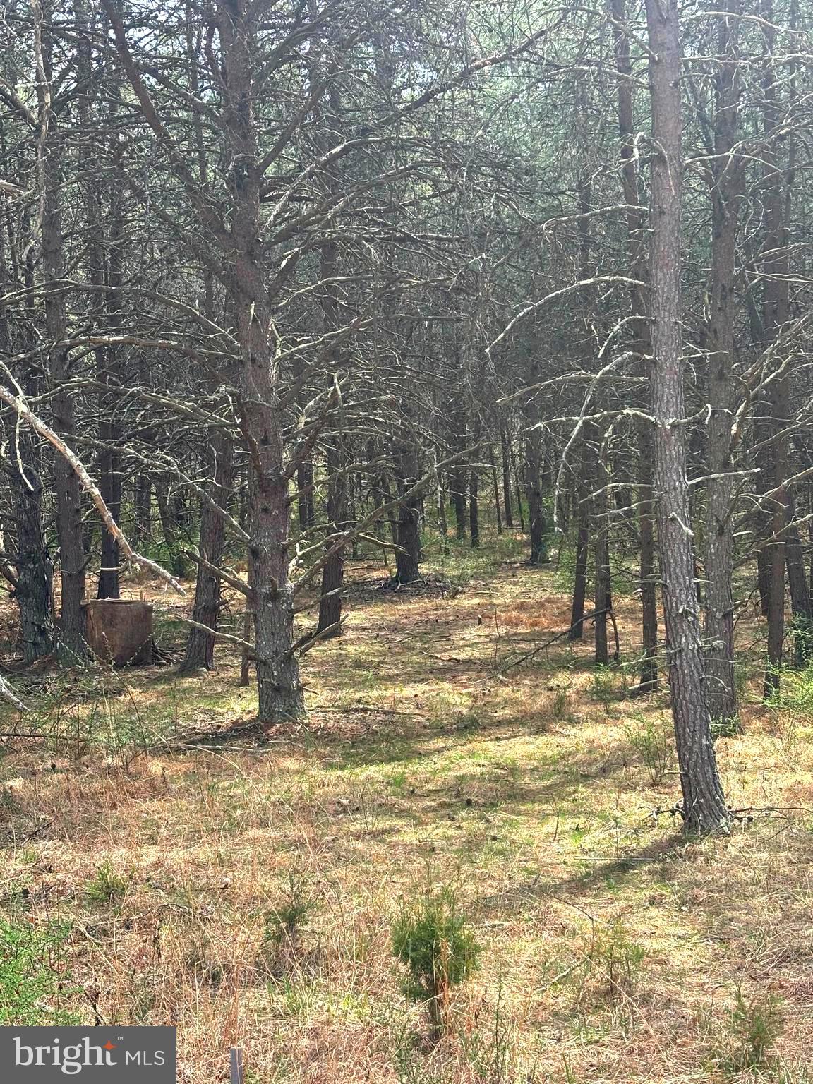 DILLONS RUN ESTATES - Land