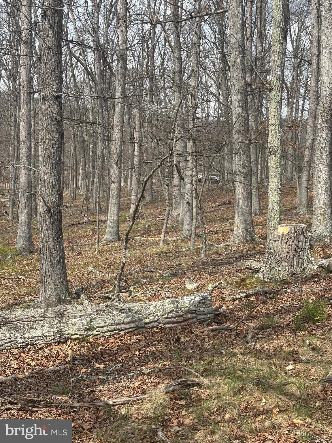 DILLONS RUN ESTATES - Land