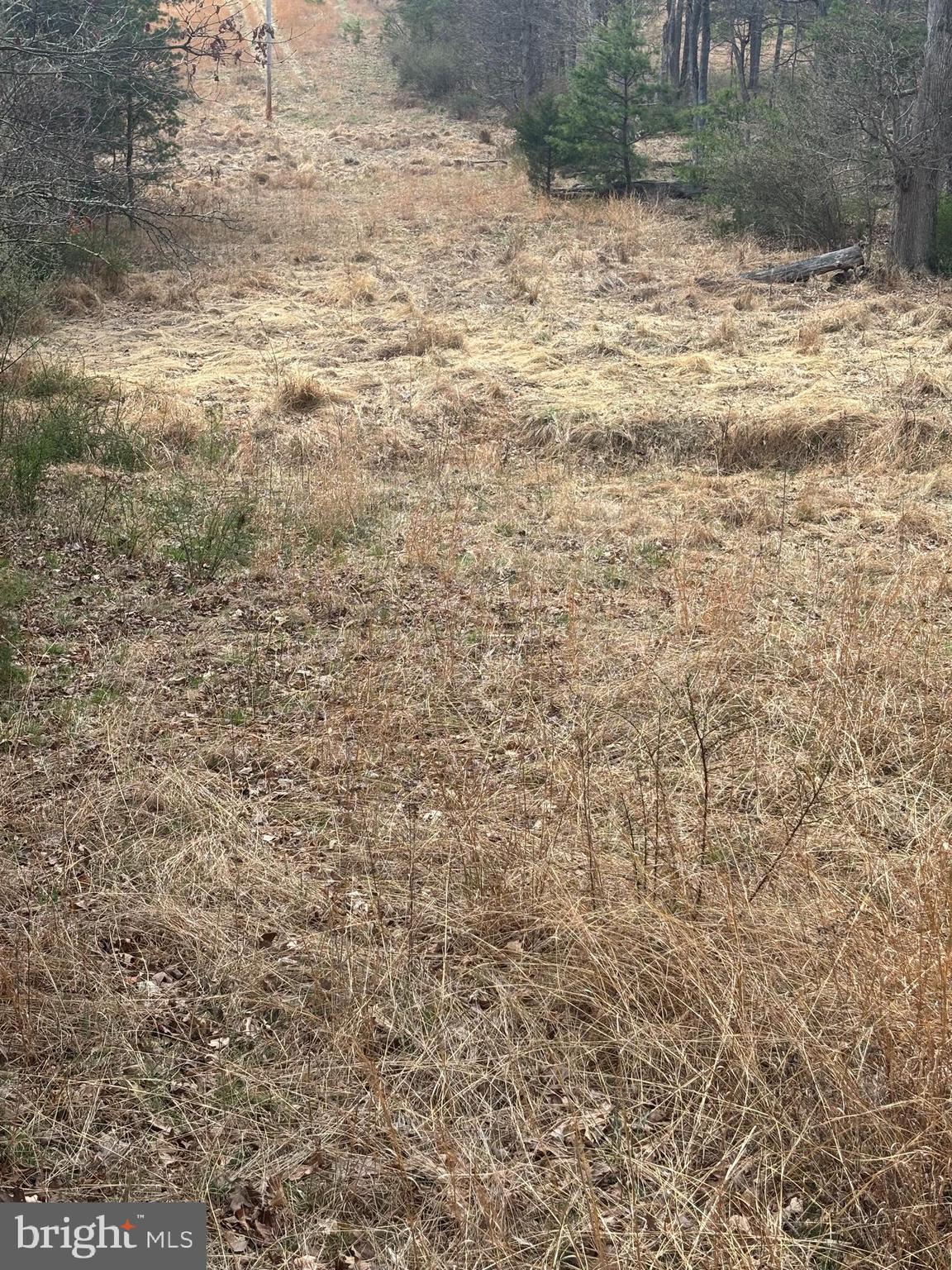 DILLONS RUN ESTATES - Land