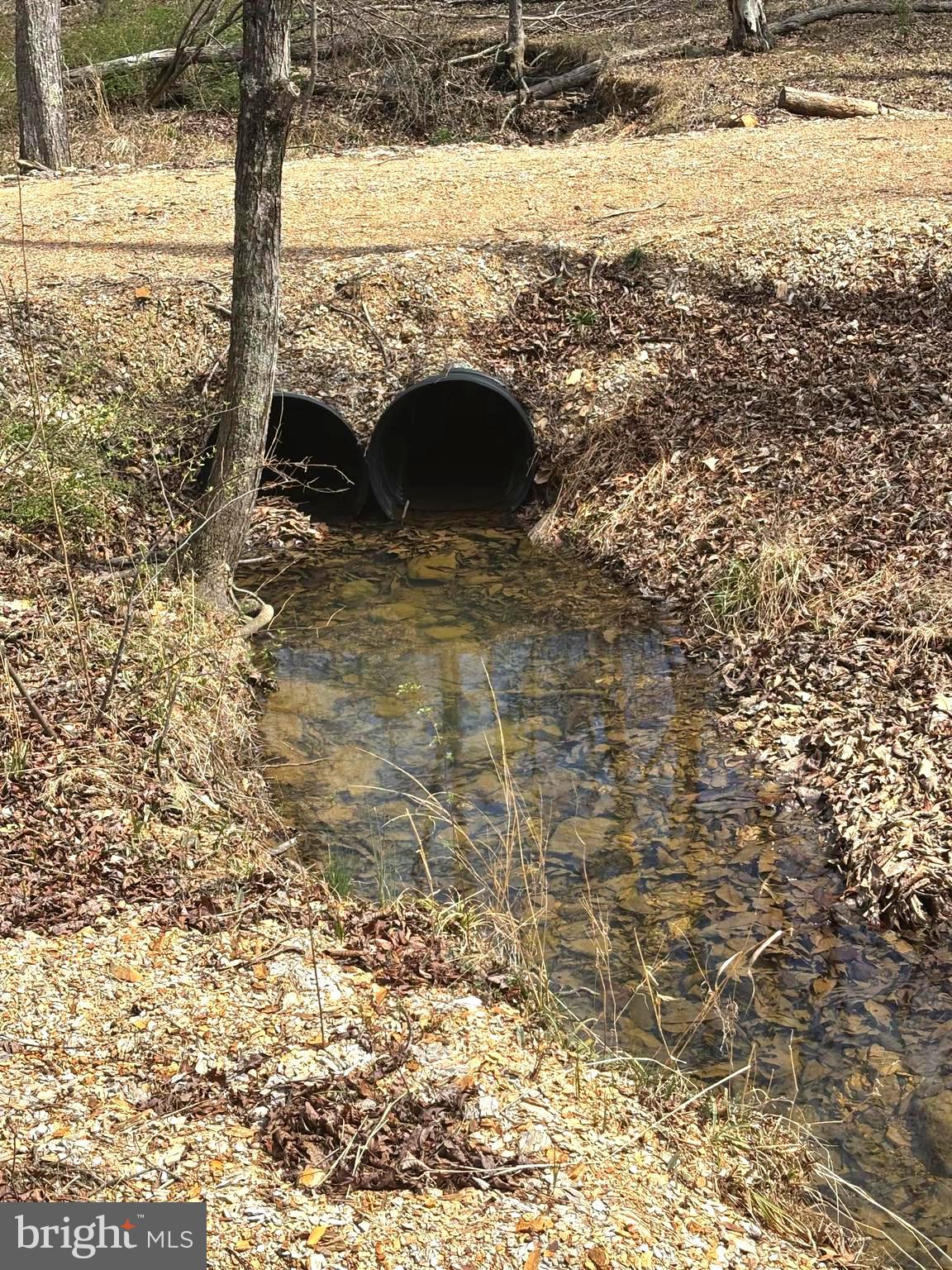 DILLONS RUN ESTATES - Land