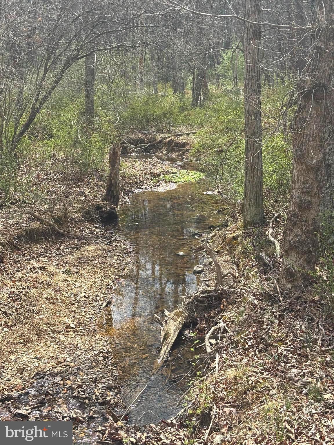 DILLONS RUN ESTATES - Land