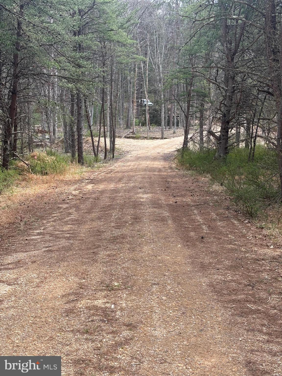 DILLONS RUN ESTATES - Land