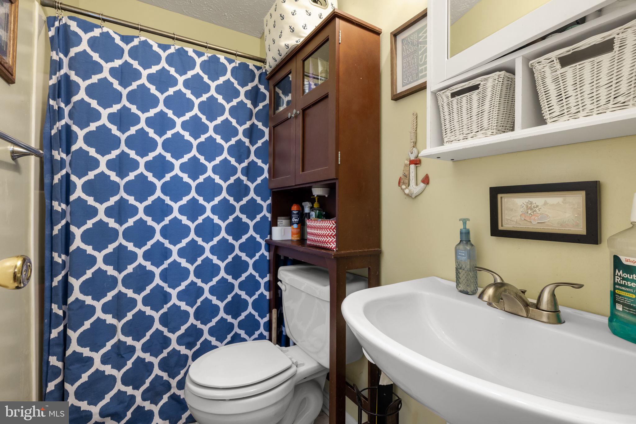 THE MEADOWS AT STRASBURG - Residential