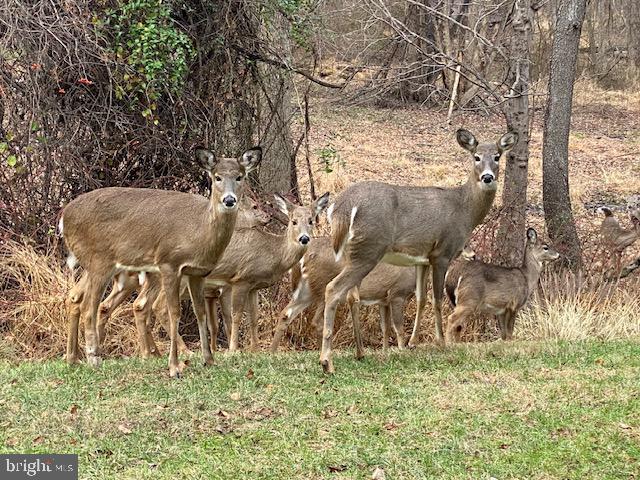 TIMBERGROVE - Residential