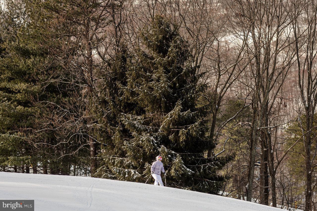 MASSANUTTEN - Residential