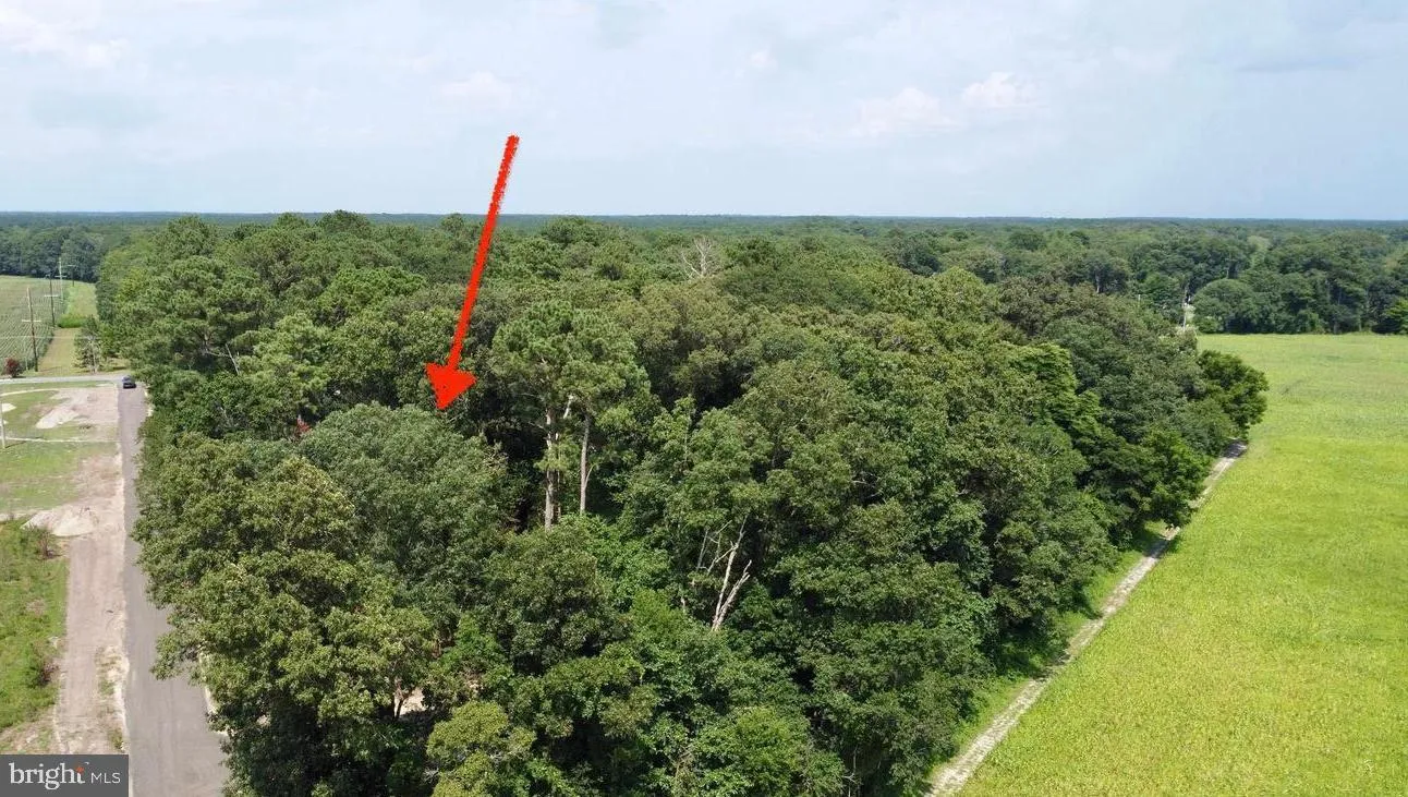 Additional image 19 of Lot 2 Mount Joy, Millsboro, DE 19966