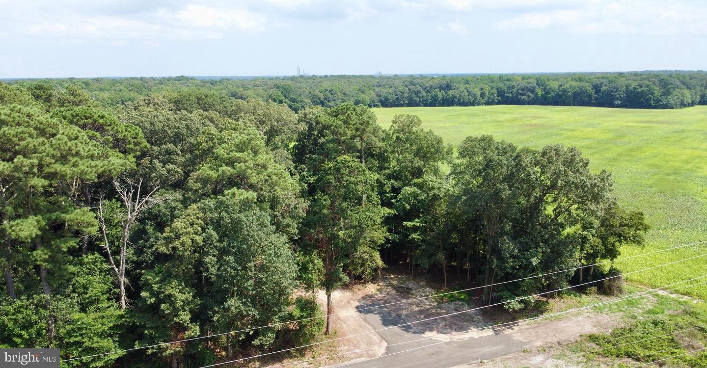 LOT 2 MOUNT JOY