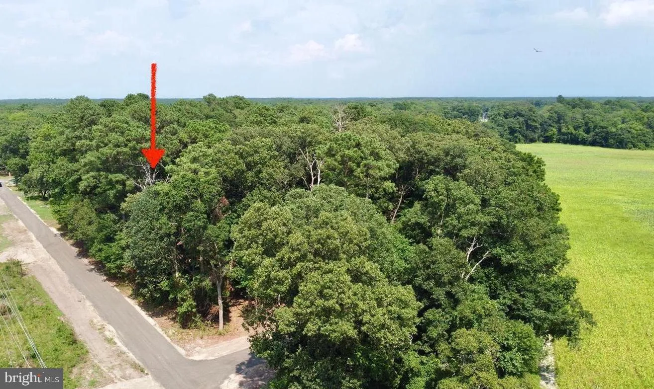 Additional image 11 of Lot 2 Mount Joy, Millsboro, DE 19966