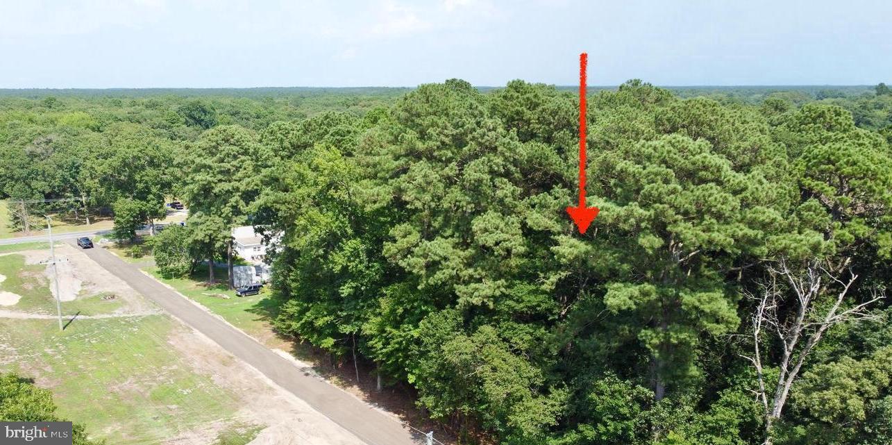 LOT 2 MOUNT JOY