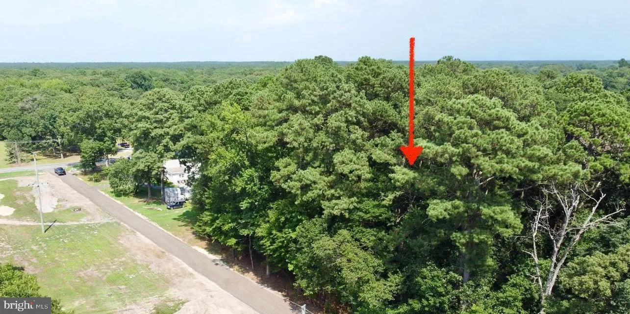 Additional image 12 of Lot 2 Mount Joy, Millsboro, DE 19966