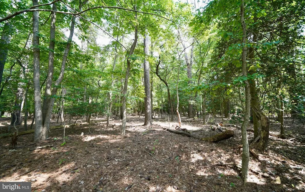 Lot 2 Mount Joy, Millsboro, DE 19966