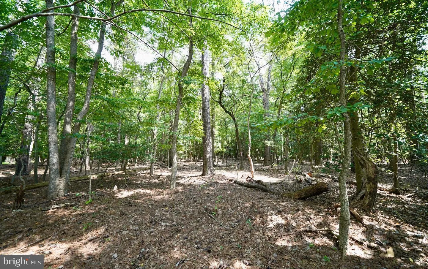 Additional image 20 of Lot 2 Mount Joy, Millsboro, DE 19966