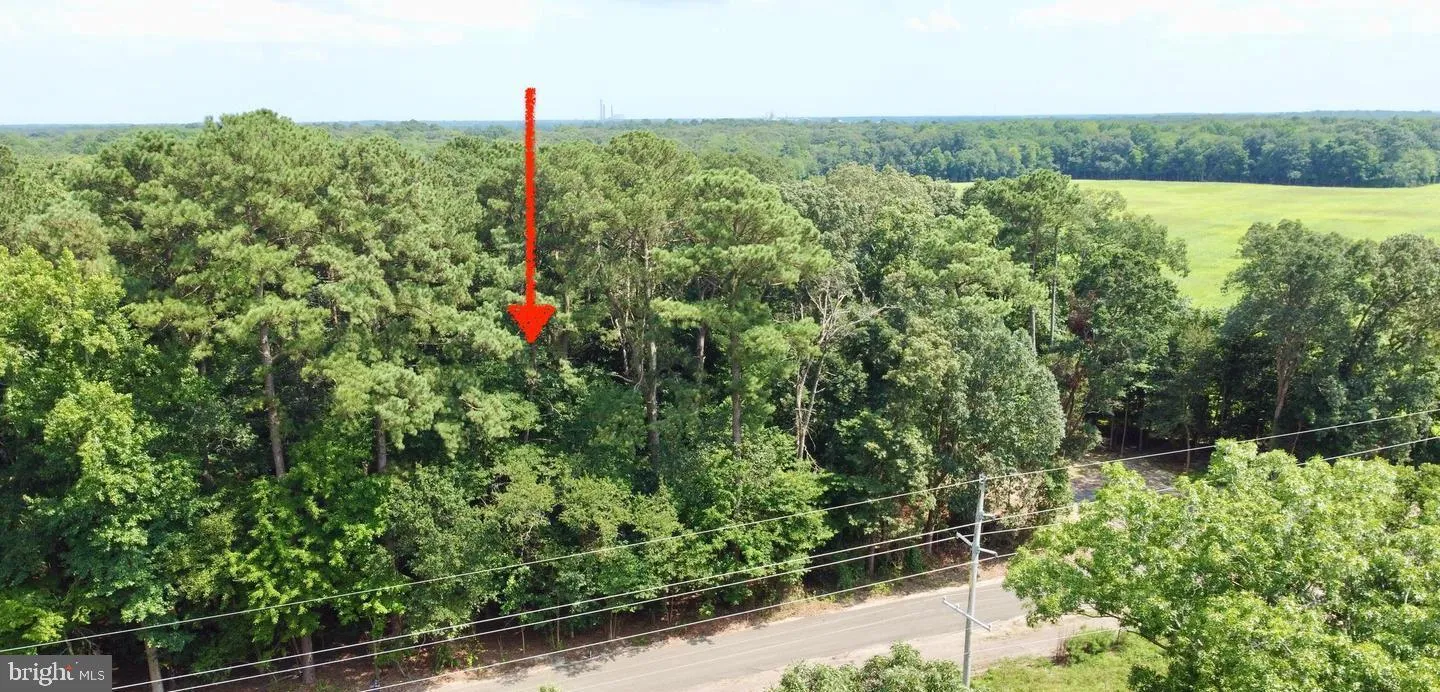 Additional image 17 of Lot 2 Mount Joy, Millsboro, DE 19966