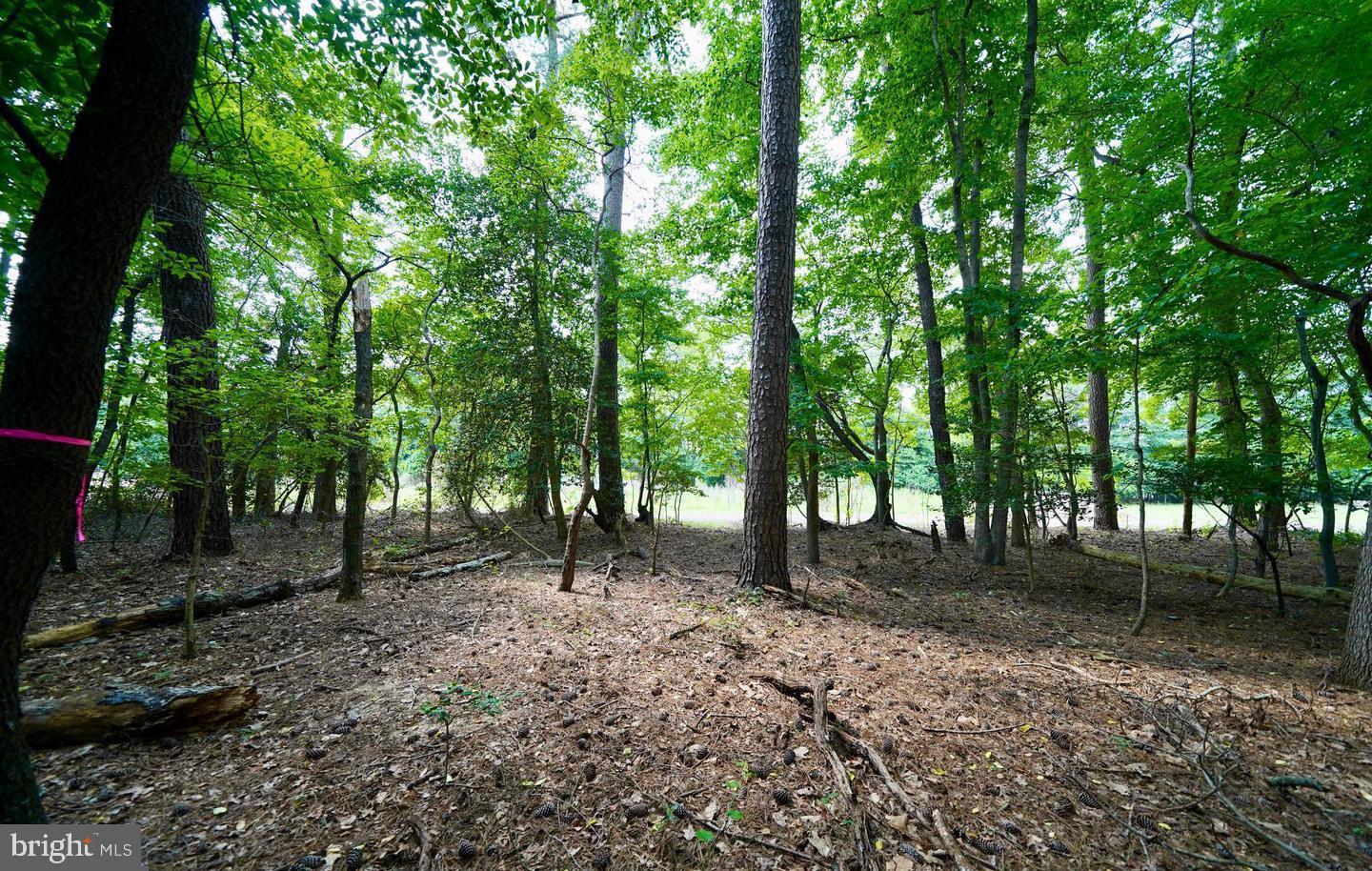 LOT 2 MOUNT JOY