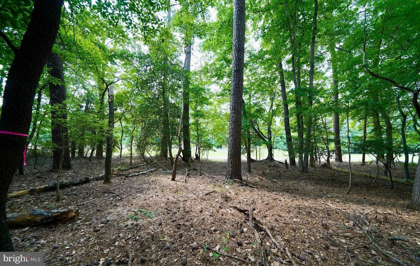 Additional image 13 of Lot 2 Mount Joy, Millsboro, DE 19966