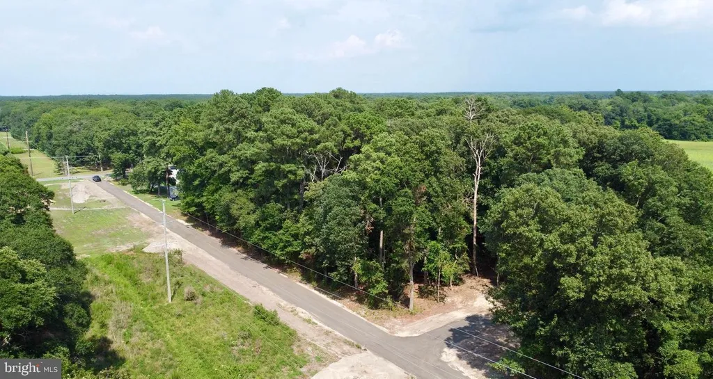 Additional image 5 of Lot 2 Mount Joy, Millsboro, DE 19966
