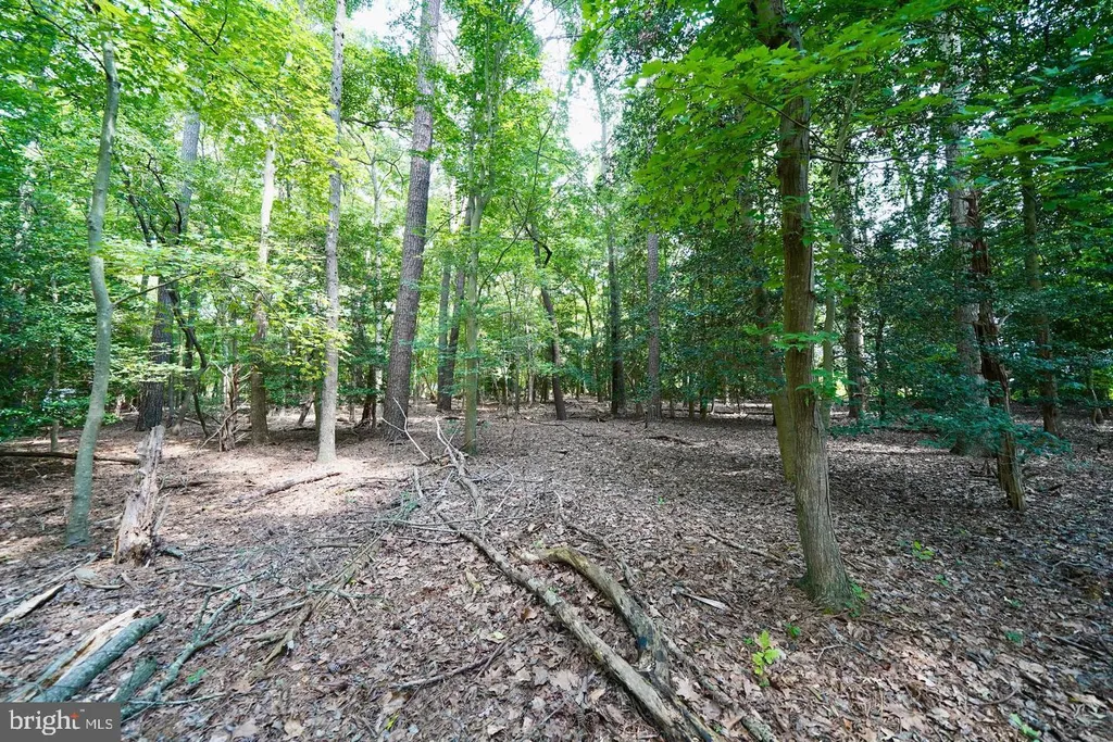 Additional image 8 of Lot 2 Mount Joy, Millsboro, DE 19966