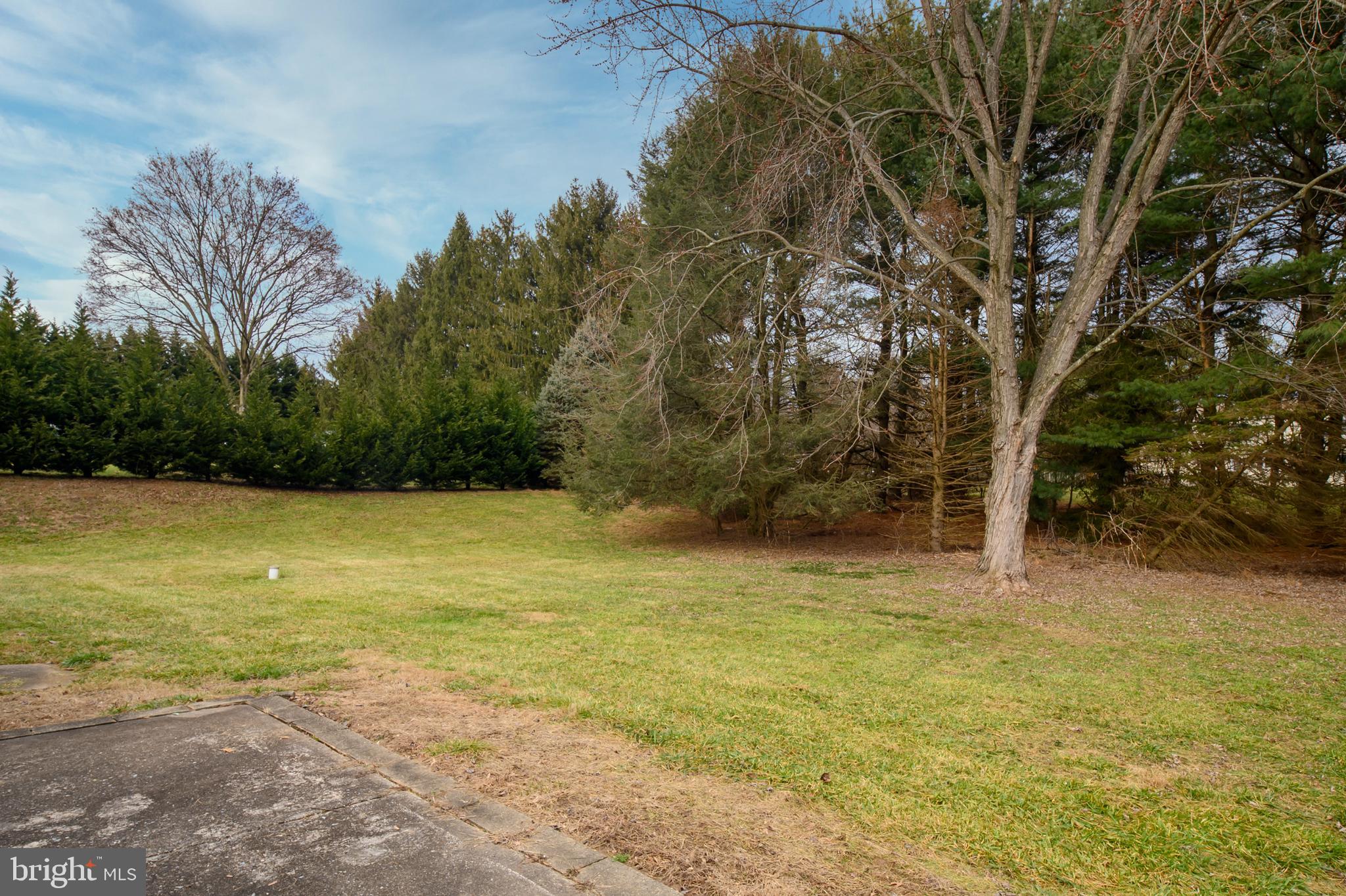 CLEAR SPRINGS ESTATES - Residential