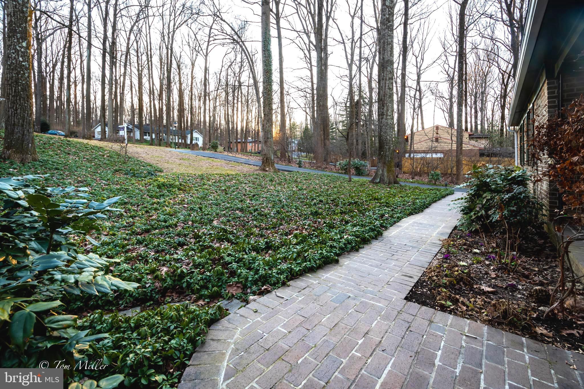 VELVET RIDGE - Residential