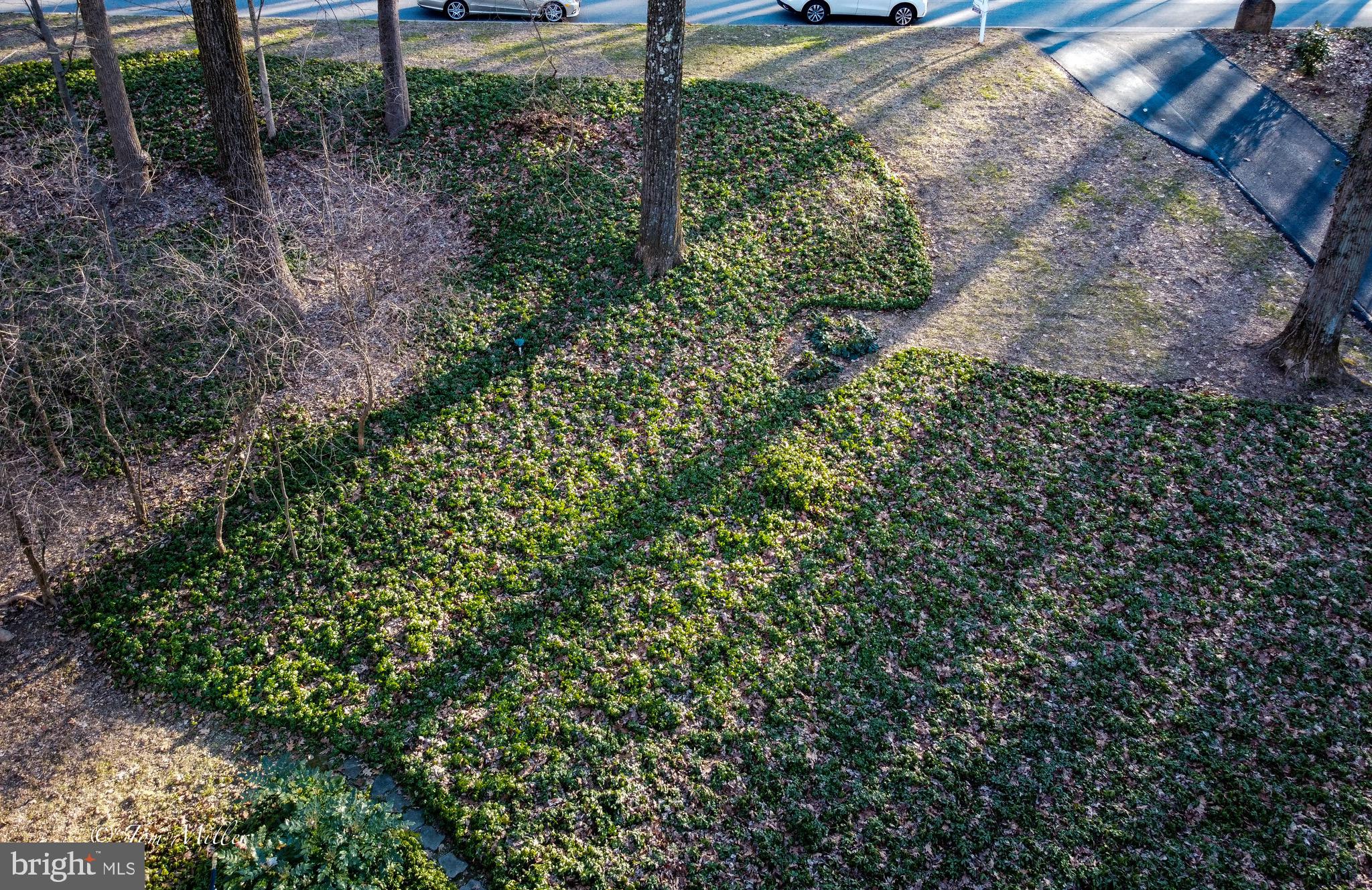 VELVET RIDGE - Residential