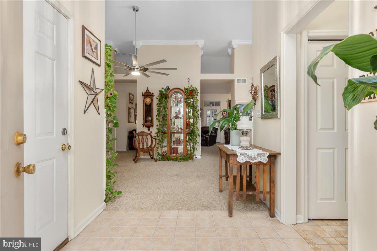 SPRING MILLS - Residential